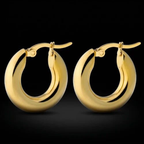 Boucles d'oreilles Hoopop